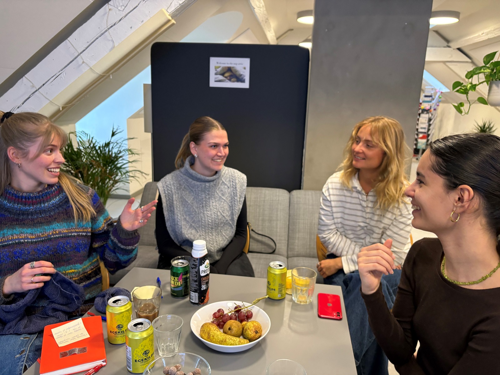 BSIGs deltagerambassadører til møde i København i 2026